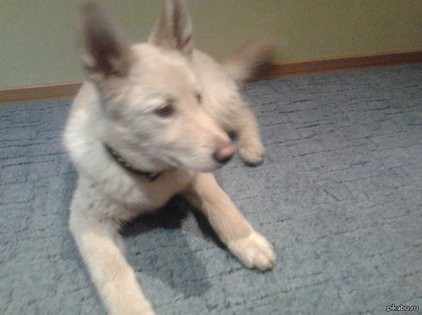  -  .   :,..,!     - .