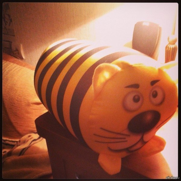   ,   )  - 