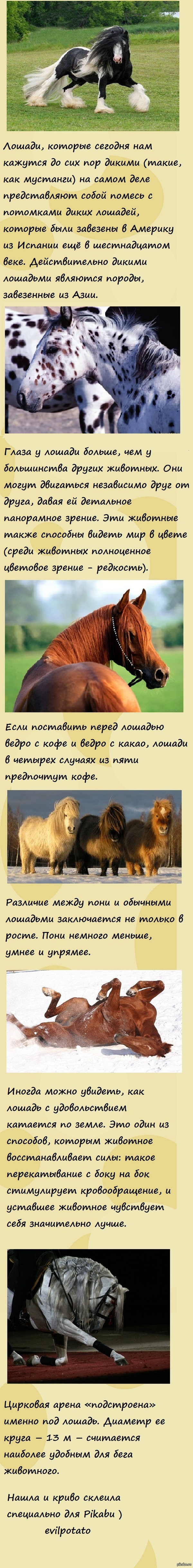 ������� ������ � ������� )