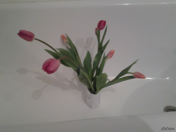 ��������� ���� ��� ������