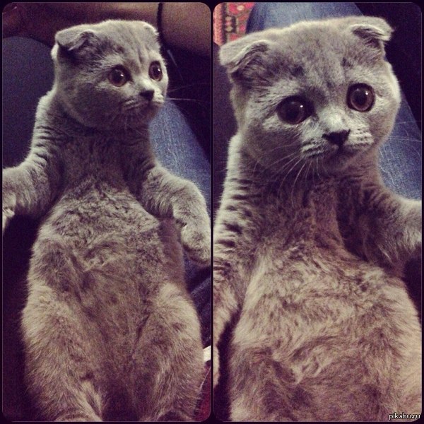 ����� �������? ���� �������?!