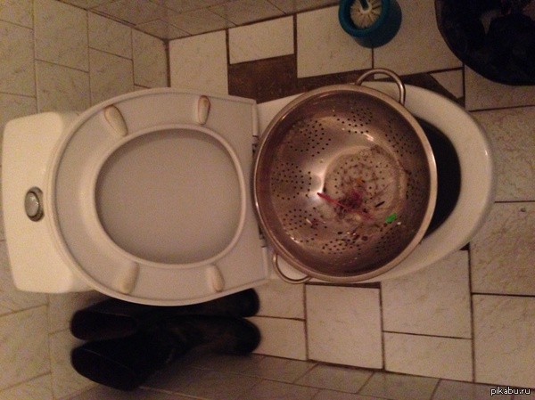 ��� ���� ������ ������������� ��������