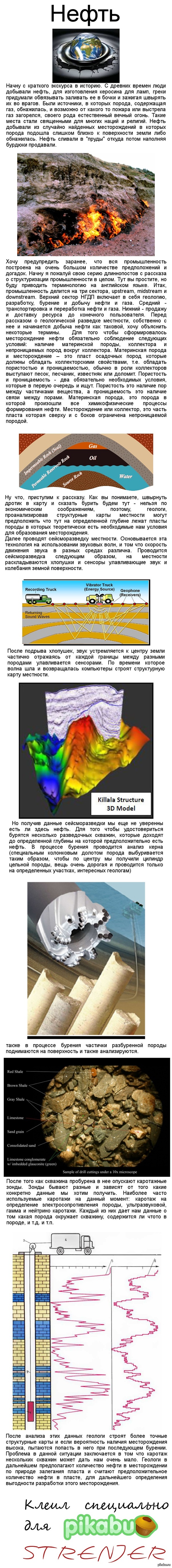 �����. ���� �1. ��������