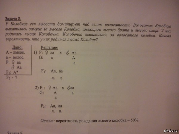 Biology, 10th grade - Biology, Grade 10, Genetics, Crossbreeding