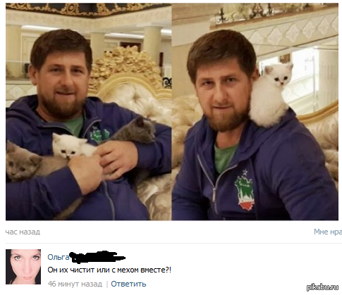 ����� �������