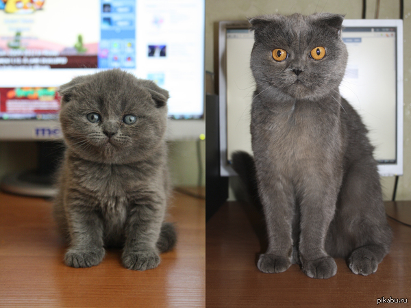 ����� ������� 2 ����!!!