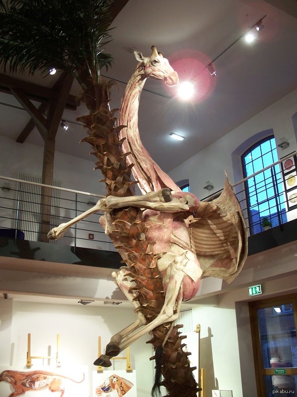 Ничего необычного