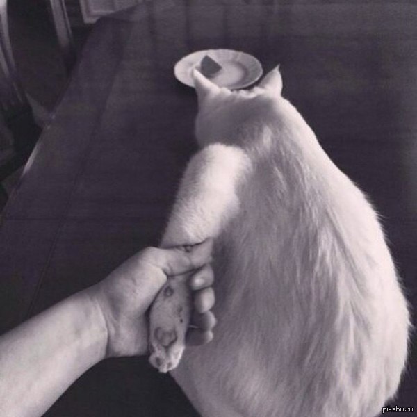 "������ �� ����"�