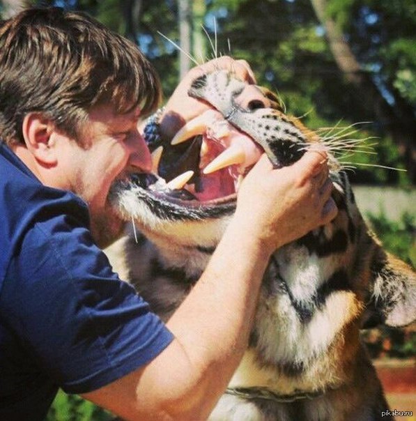 Дикие животные и люди. Человек который есть животных. Ягуар нападает на леопарда. Дегустатор корма для животных. Человек который есть животных.