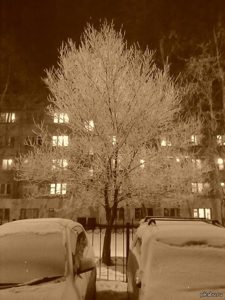     , 28.12.13.   ,    :(