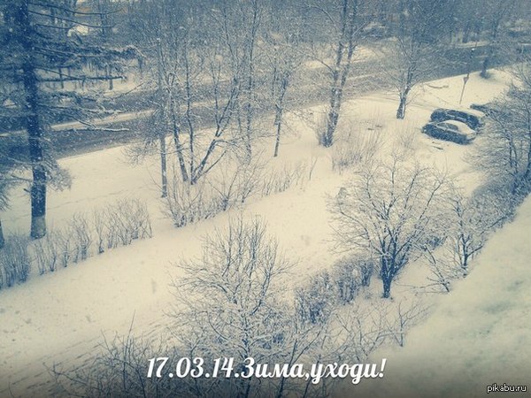 Офигел немножко! | Пикабу