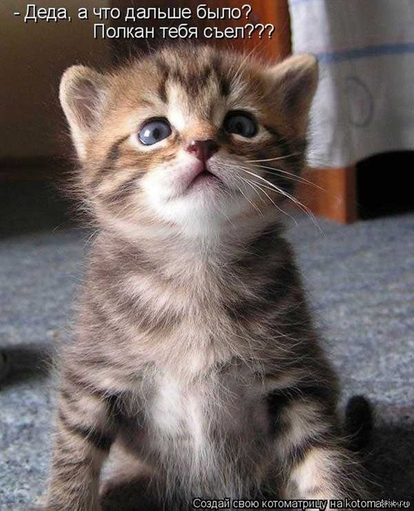 Котейка =)