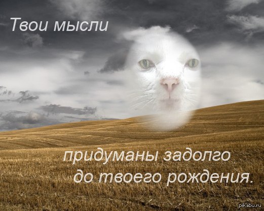 �� �������, ����� �������� � �������� ����������� ��������