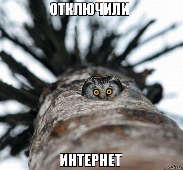 Интернет зависимые | Пикабу