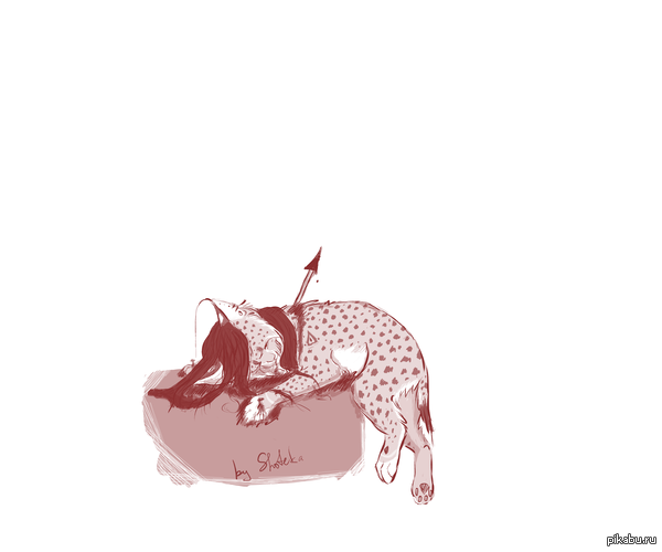 dying Lynx   .