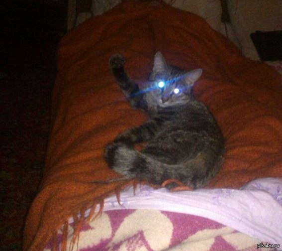 �� �� ���� �� ����������!