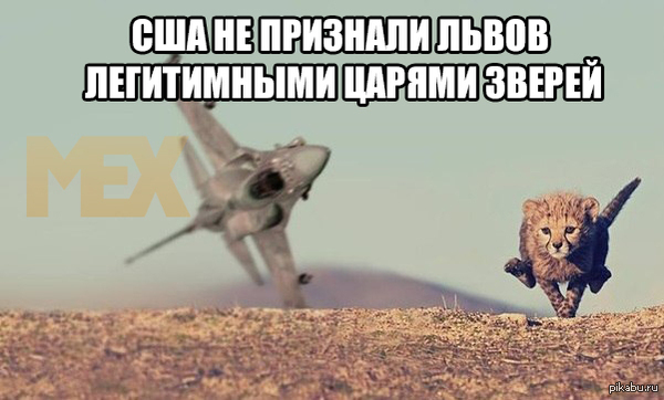    ! 