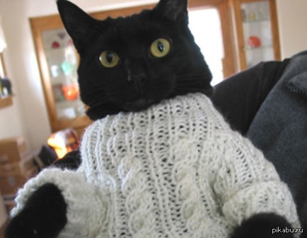 ����� �����, ����� �������