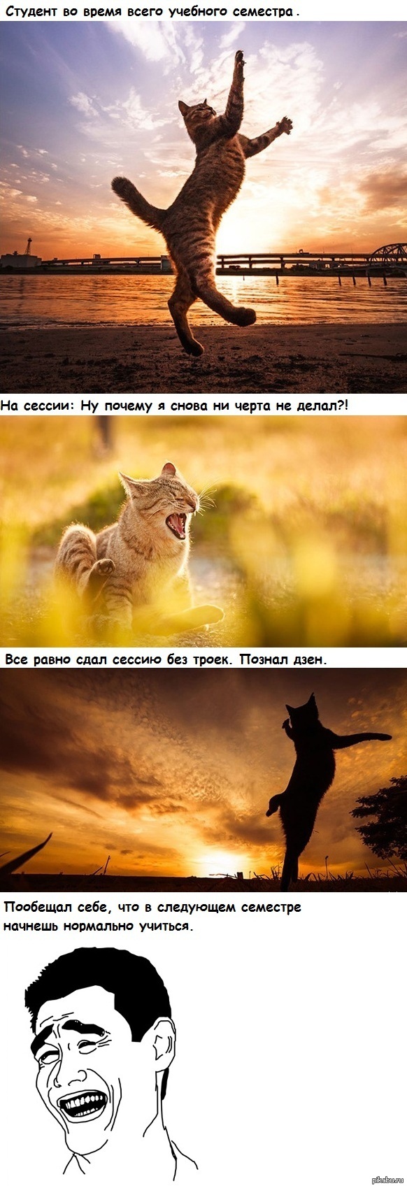 �������� ������� ������