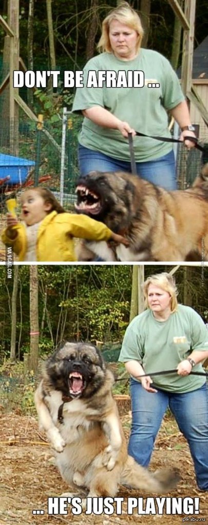 �� �����, �� ������ �������� ����� )