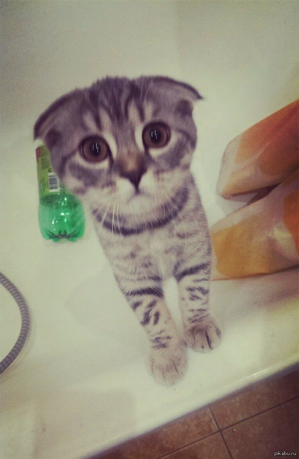 ������� � ���� ����������?))