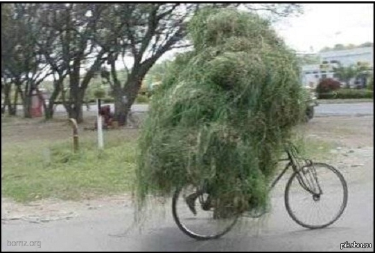 ����� �������� �� ����