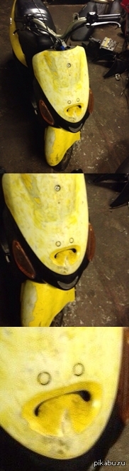 Он явно чем-то недоволен. | Пикабу