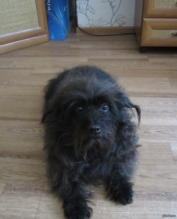 ��� ������ ������ ����