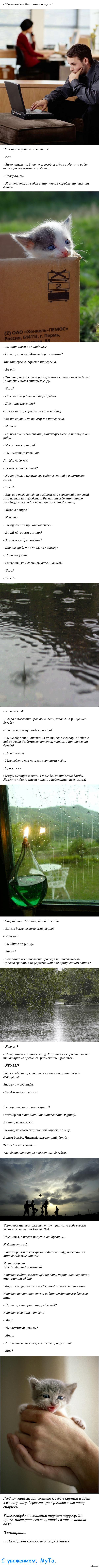 Трогательный длиннопост.