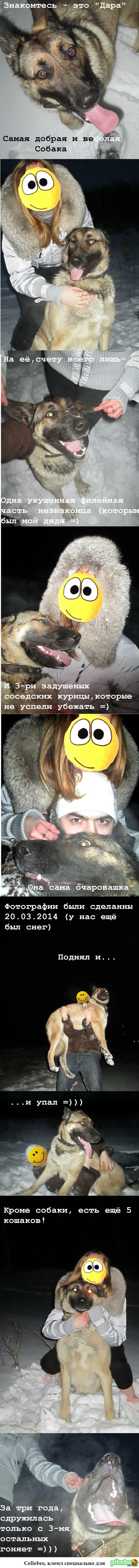 ������ ��������