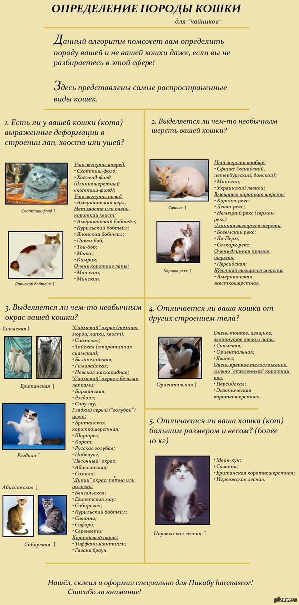 ���������� ������ ������� � ������!