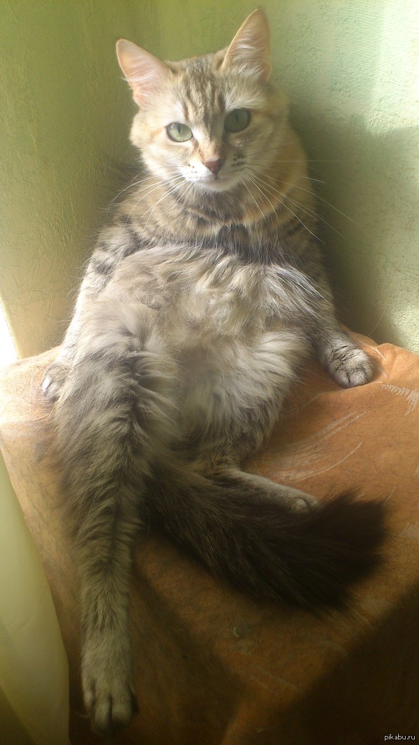 Немного эротики :З