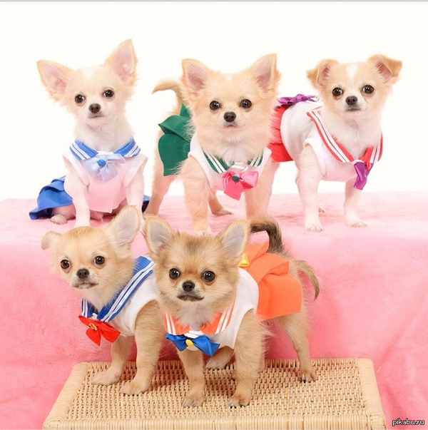 �� � �������, ��� ������