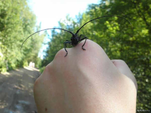 ��� ��� ���