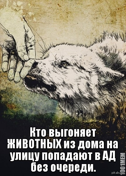 �� �������, ��������� �������