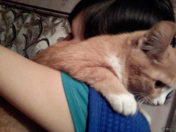 ����� ������^^