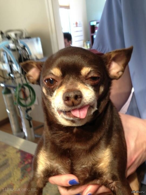 ��� ������� � �������...