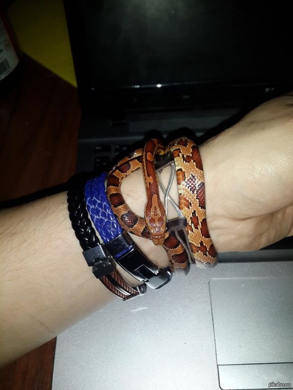 Вот такая у меня коллекция браслетов:)
