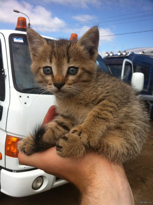 ������� � ���������� �������