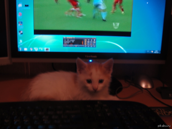 ��� ������� ���� ������ ������?