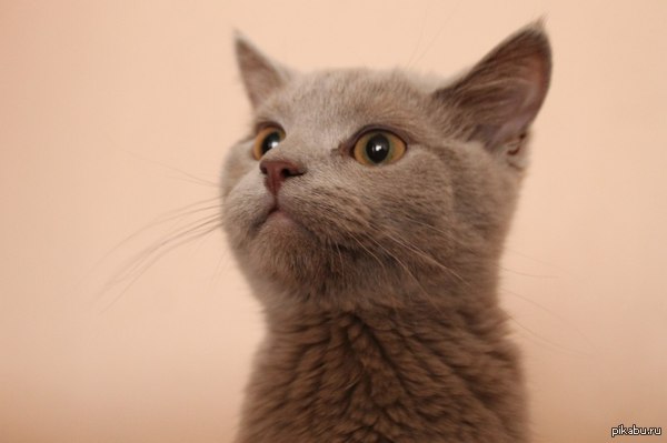 ��������! :)