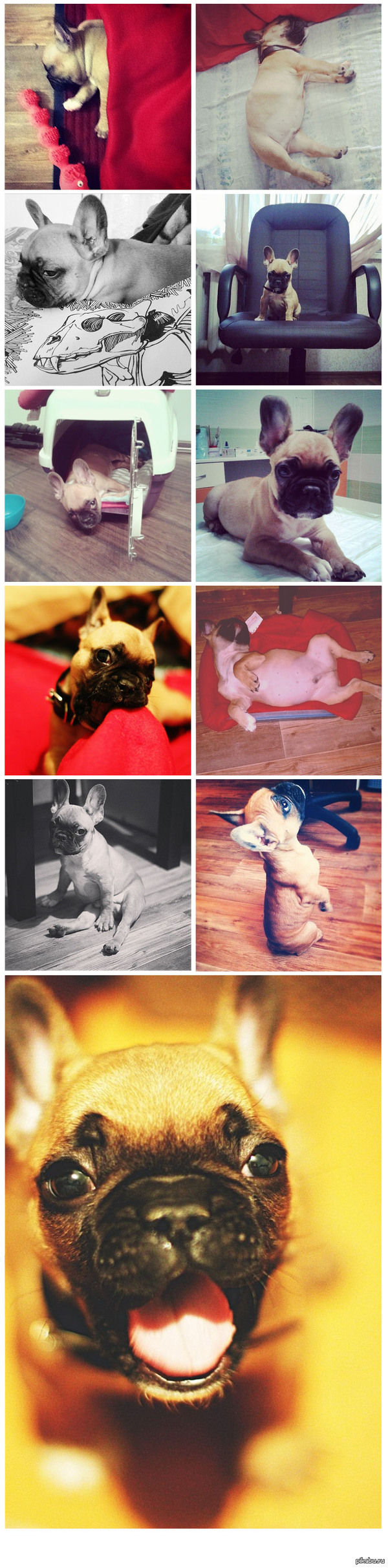 ������ ���� �����, � �� ��� ������..������.