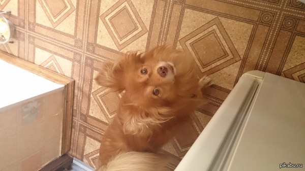 ��� ���, ��� ������ �����