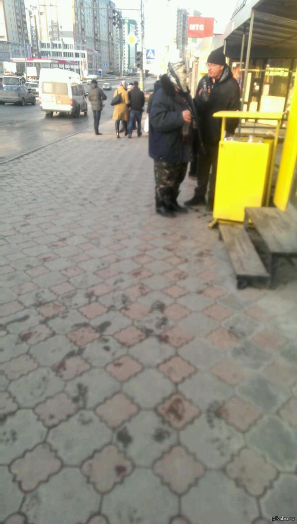 Живой Саша Белый обнаружен в Новосибирске