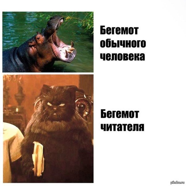   ) 