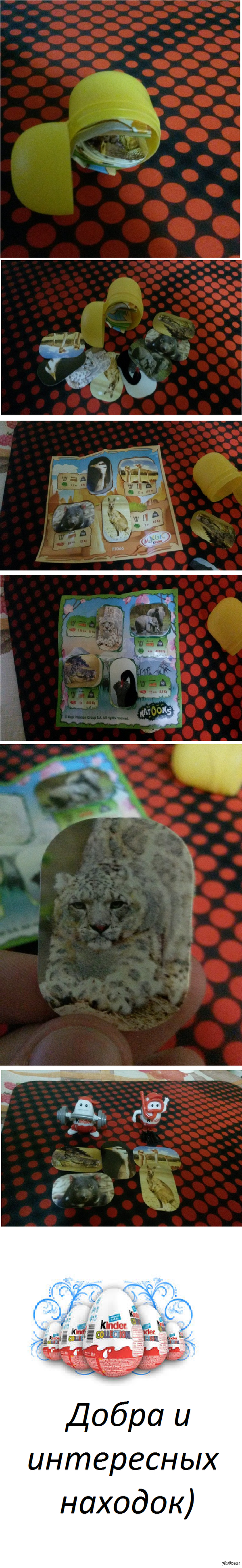 ��� ����� ���� ����� ������� � �������?