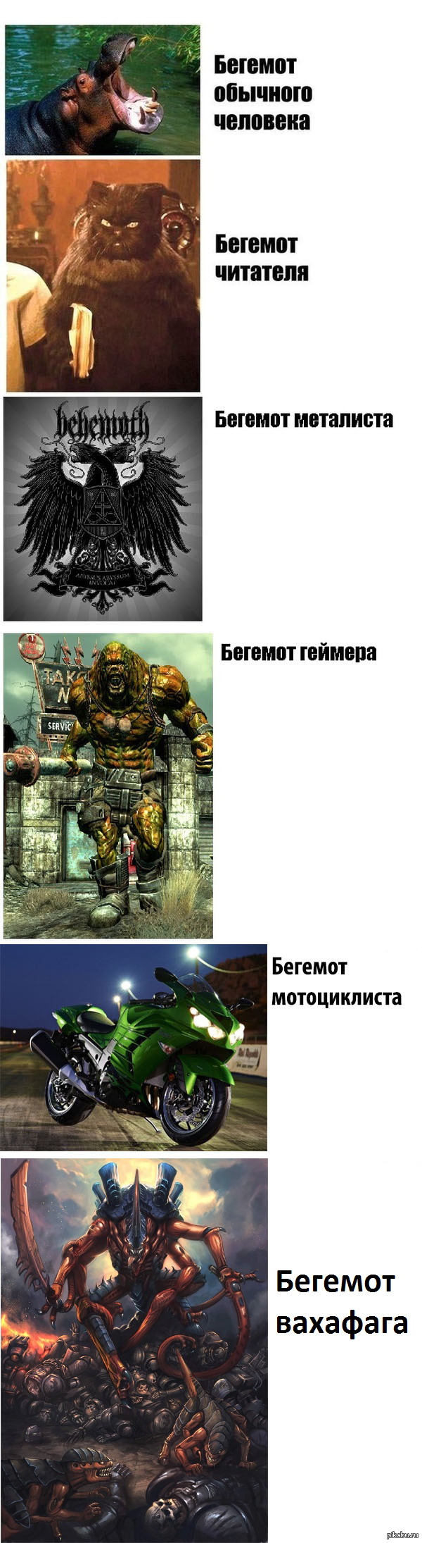 Продолжая парад бегемотов