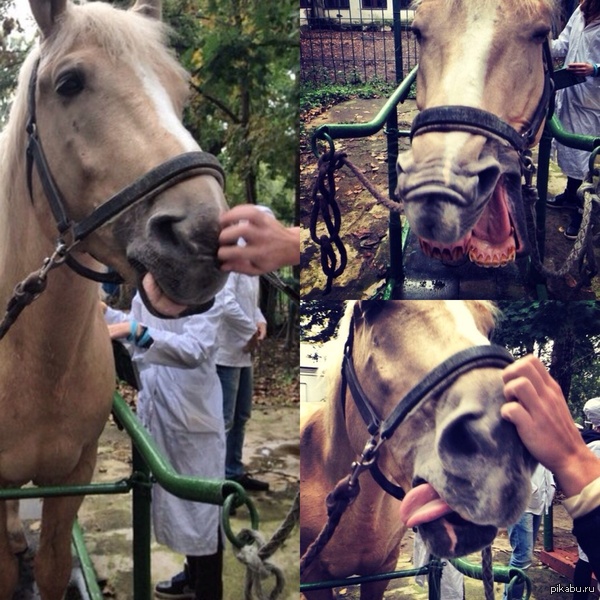 �������?? ���?? ����!! � ������� �����!!! ���������� ����� �������� ����� � ���������� ������������ ��������. ��� ����� ����� �����.