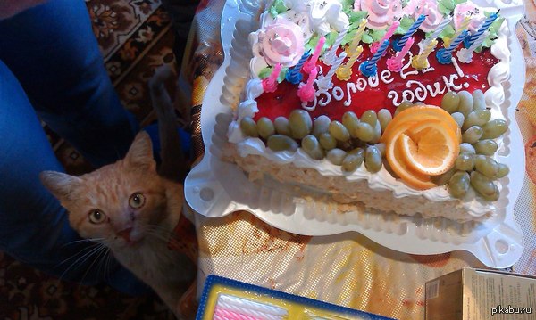 ������ ��� ������� 21 �����)