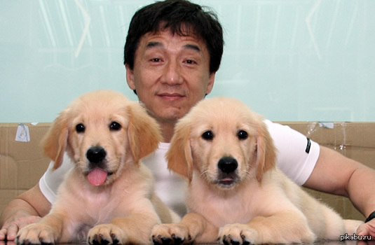Джеки Чан с песиками ^_^
